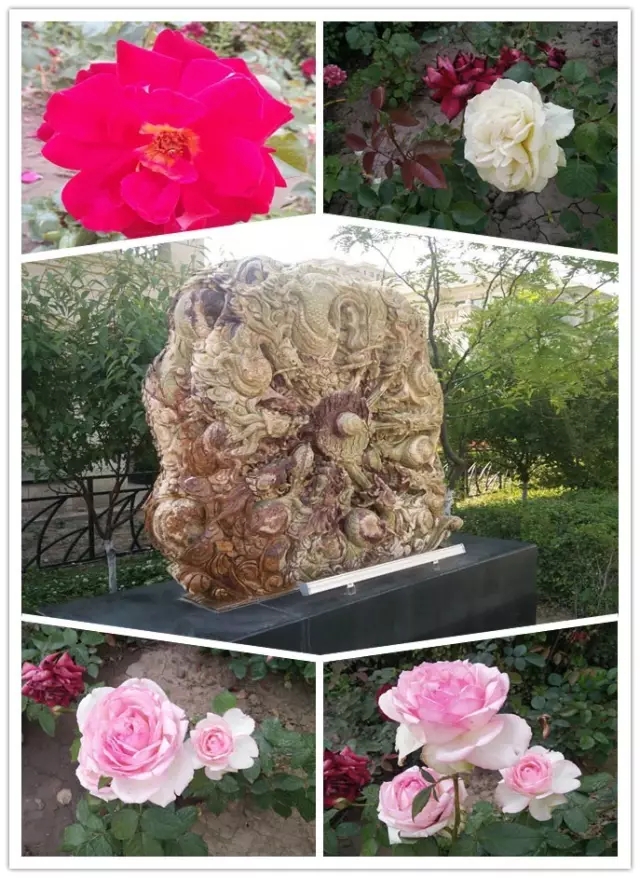 網(wǎng)勢科技6周歲生日快樂！